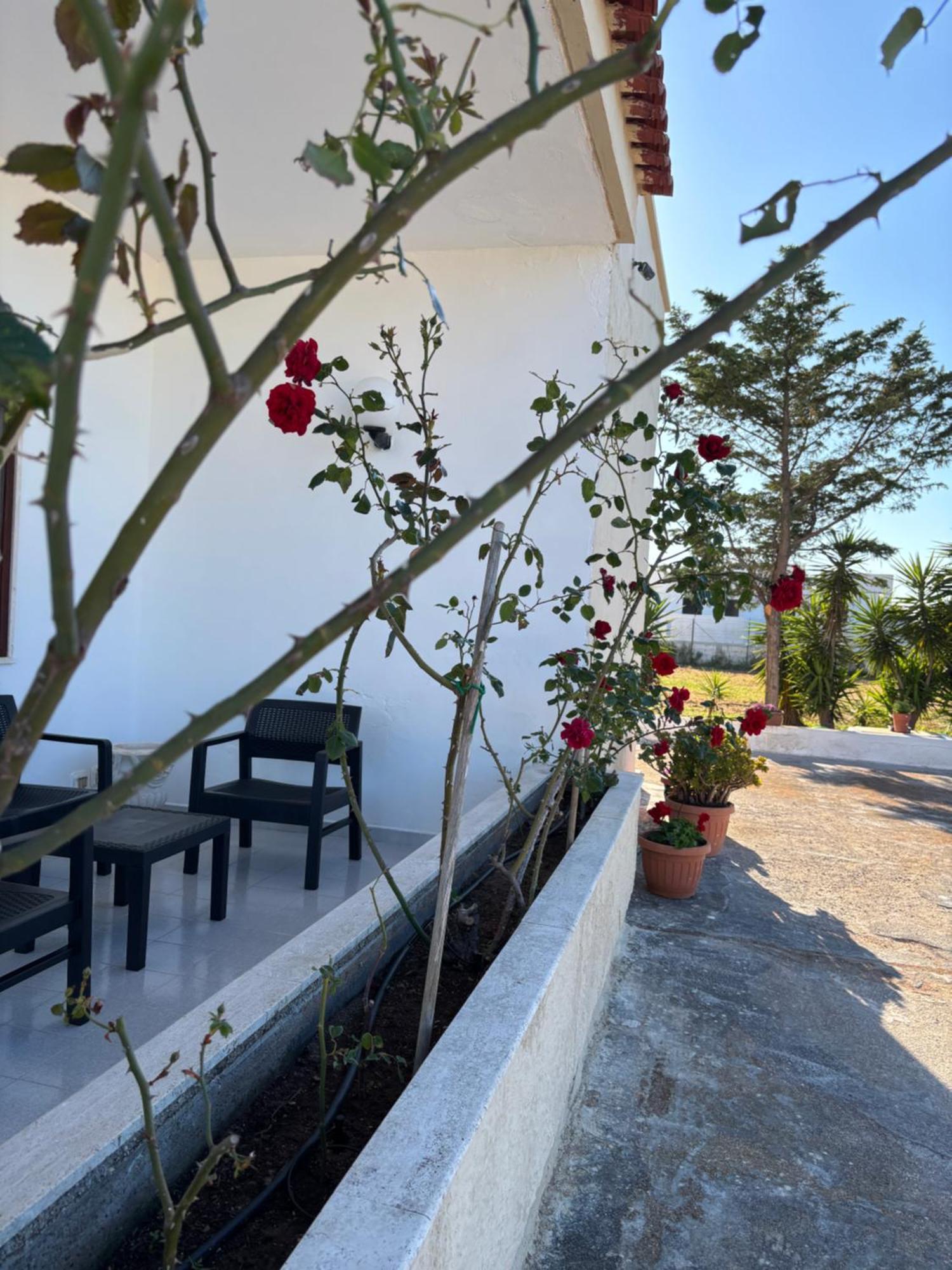 Lilly'S House Villa Torre Santa Sabina Exterior photo